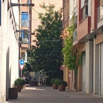 La mejor casa de Lleida carrer del riu 3