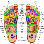 Meihuizi fisioterapia! Excelentes masajes!.. Metro nueva numancia