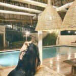 TU MEJOR ACOMPAÑANTE