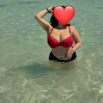 Canaria guapa Alcampo laguna particular