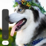 Brasileña morena - Hola chicos estoy en Lugo para realizar estoy de pasó llamane