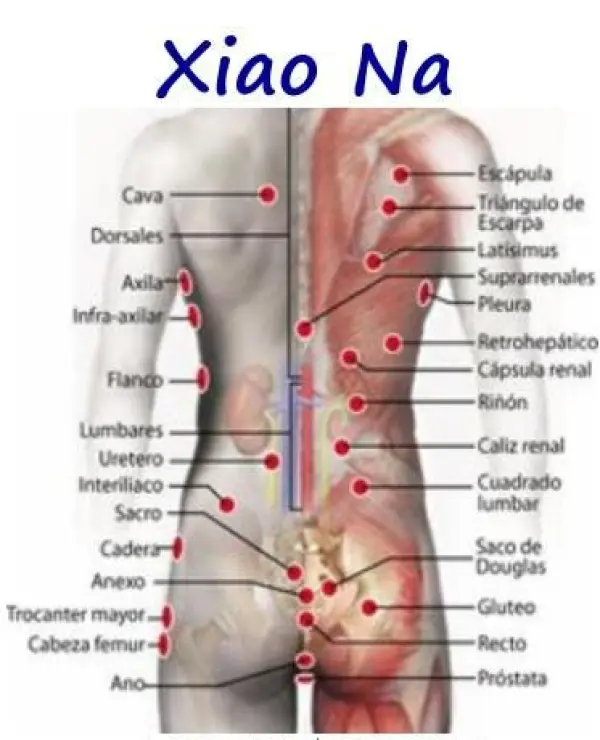 Fondo avatar