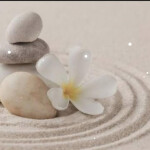 Masajes Natalia - Hola sí necesitas desconectar y sentirte renovado escríbeme atiendo de lunes a dom