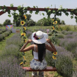 Hola vendo contenido fotos hago vidiollamda