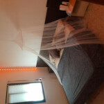 ALQUILER PARA CHICAS INDEPENDIENTES