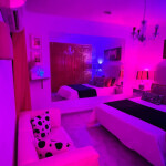 Alquiler de habitaciones en la laguna