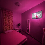 ALQUILER HABITACIONES CHICAS BARCELONA