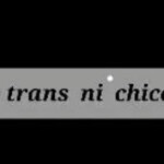 Alquiler sem habitación en benidorm solo chicas