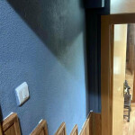 ALQUILÓ APARTAMENTOS PARA CHICAS INDEPENDIENTES