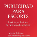 Publicista profesional