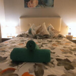 BONITAS HABITACIONES PARA CHICAS TRANQUILAS!!!