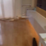 Alquiler de habitaciones