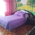 Alquilo habitación grande confortable