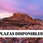 PLAZA DISPONIBLE EN ALICANTE