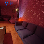 SE NECESITA CHICA PARA BAR DAMA DE COMPAÑIA