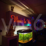 Necesito Chica para Trabaja en Suiza