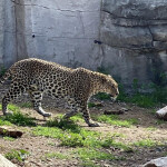 Plaza 24 hora - Hola temgo plaza para chica súper tranquila lugar súper cómodo y full trabajo buena 