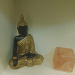 SE NECESITAN CHICAS PARA PLAZA!!