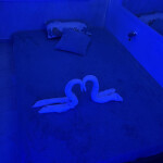 Salón exclusivo en Puerto Banús. bajo un nuevo liderazgo femenino