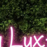 EXCLUSIVO CHALET MARBELLA URB LOS NARANJOS