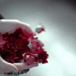 EN SEVILLA MUY BUENA PLAZA