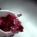 PLAZA LIBRE EN SEVILLA. 653830389 BUENA PLAZA