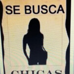 613230585 plaza madrid