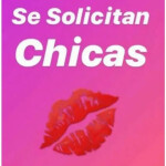 Plaza para Escort ibiza solo chicas que cumplan su plaza !!!
