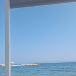 Busco chicas plaza en Valencia