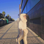 SOLO ESTA SEMANA yasmin Chica arabe elegante y glamourosa esta semana en almeria 24horas