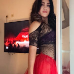 Novedad latina reciente llegada