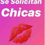 Gran oportunidad para escorts