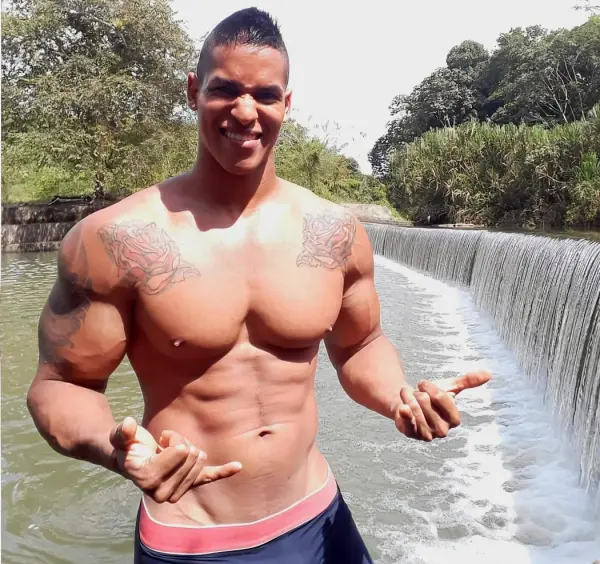 Fondo avatar