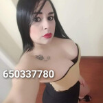 Novedad hermosa latina EN PAMPLONA
