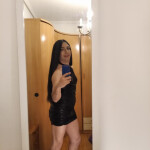 Novedad trans latina