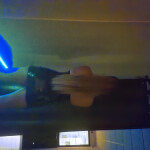 Raquel Brasileña de vuelta a Orense