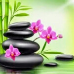 Sueño - Hola mis amores soy y seré ese sueño Que te hará disfrutar con y todas las que te puedas ima