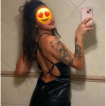 Elche nicol española