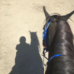 Samanta y Pareja - Hola Somos Samanta amp Miguel practicamos coaching en parejas o ... Te has pregun