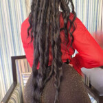 Novedad HERMOSA TRI LEON