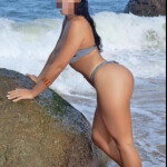 Novedad estaré pocos dias