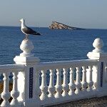 Maduro - Español maduro busco chico joven mayor de 18 años masajes viaje . También busco pareja de m