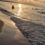 Disfruta del momento