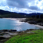 Masajista profesional