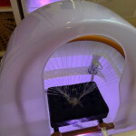 OMS studio massage - Descripción Masajes relajantes deportivo descontracturante muscular Con el masa