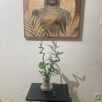 Habitacion Zaragoza - Alquilo habitaciones por semanas para chicas tranquilas 24 horas El piso está 