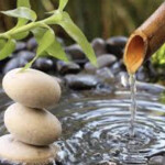 Busco casa independiente o un bajo para trabajo