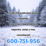 Publicista profesional Subidas Tops y Gestión Completa