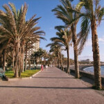 Alquilo habitación en las Américas