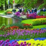 ALQUILER DE HABITACIÓN